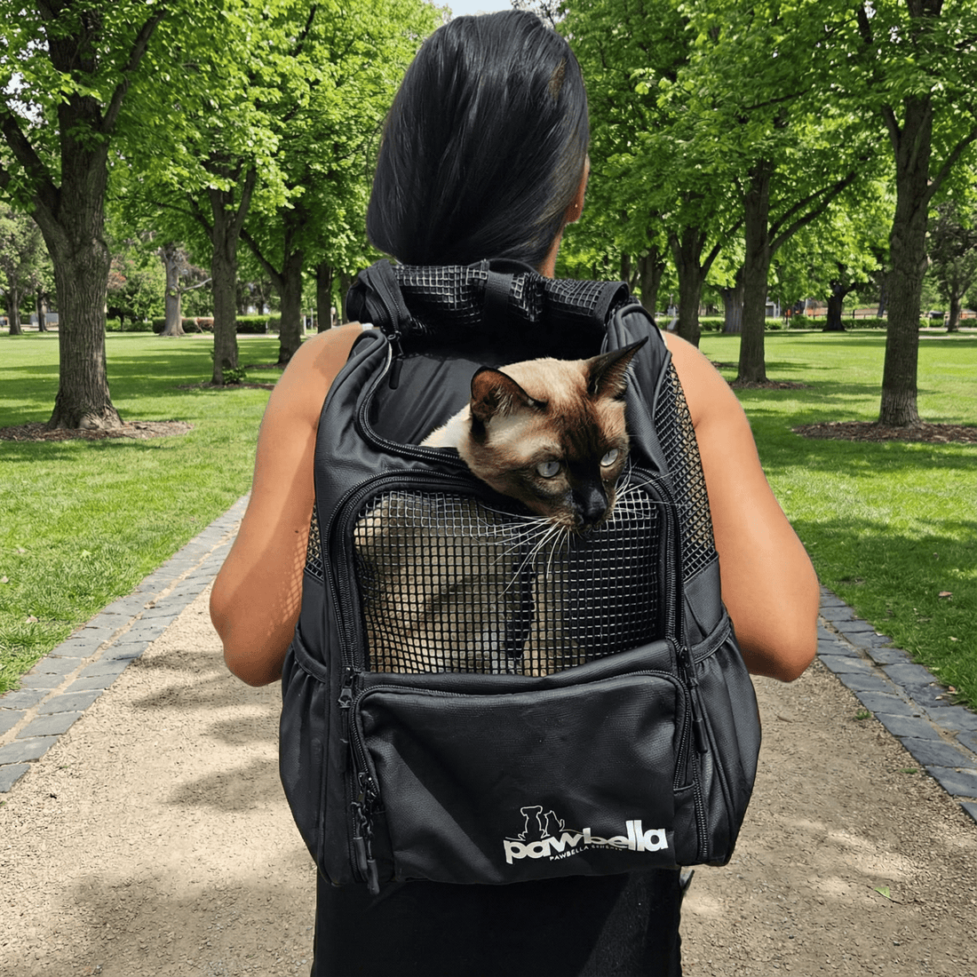Cat Backpack Australia: Types, Safety & Training Guide