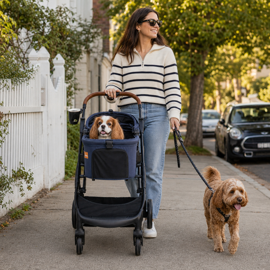 Happy senior dog riding comfortably in a navy Pawbella stroller during a family walk