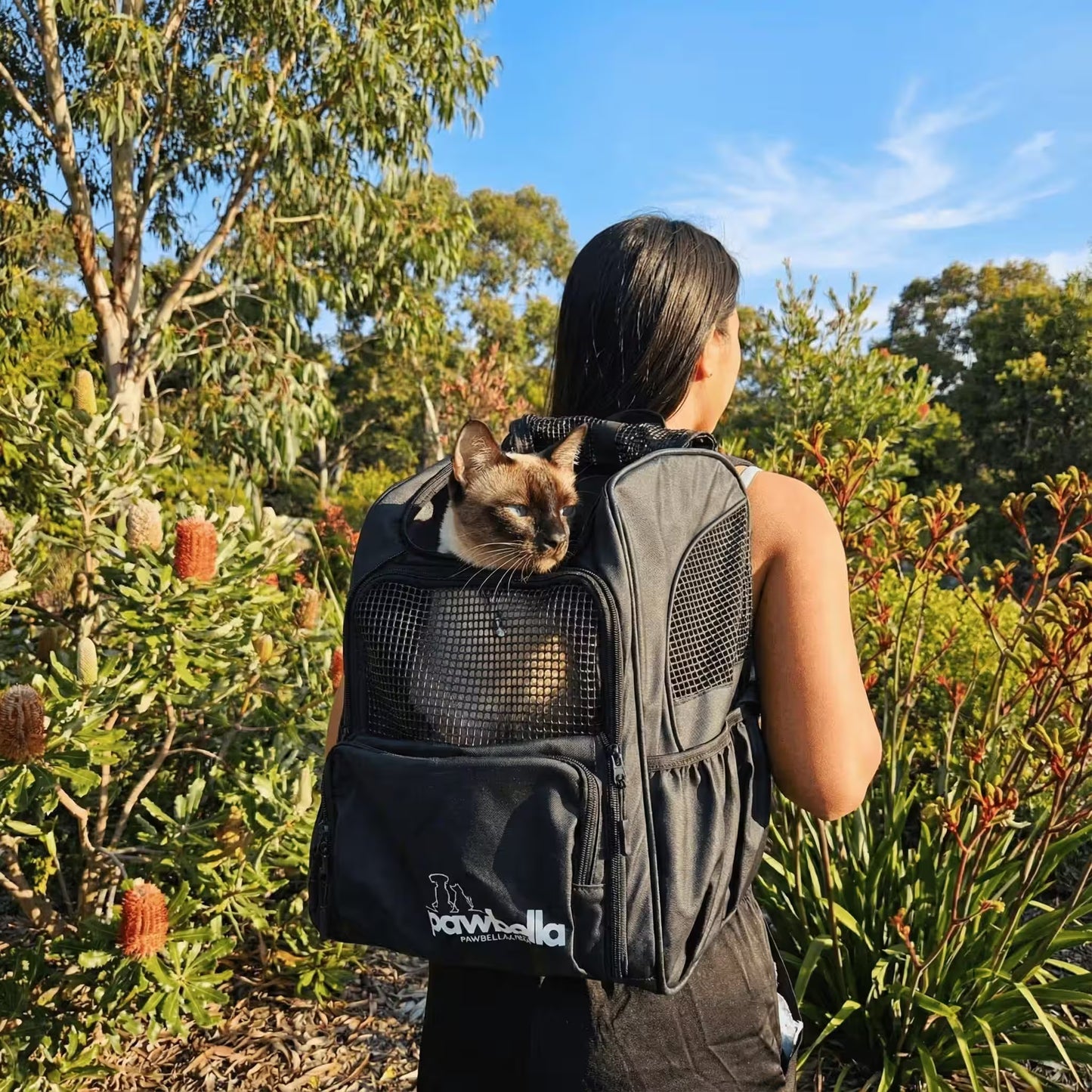 A woman in Australia carries her cat comfortably in the Pawbella Outback Explorer, a heavy-duty pet backpack (12kg max).
